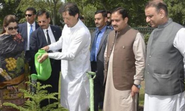 Pakistan needs massive plantation to reverse environmental damage: PM