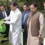 Pakistan needs massive plantation to reverse environmental damage: PM