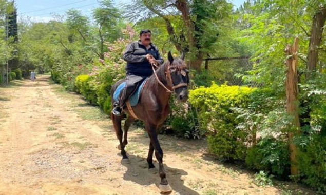 Video of Federal Interior Minister Sheikh Rashid riding a horse goes viral