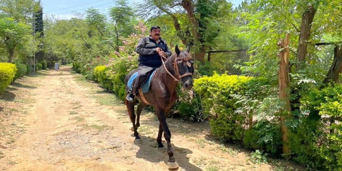Sheikh Rashid Ahmed