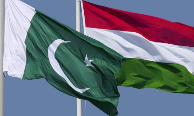 Pakistan, Hungary want to further boost trade ties
