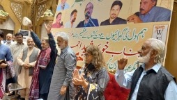 Govt urged to buy electricity from public sector