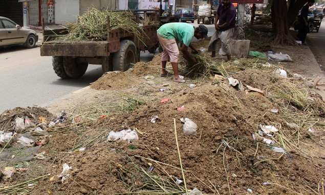 KMC, SSWMB clear Karachi roads from animal waste