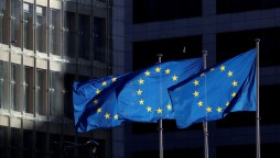 EU Parliamentarians want stern action against Indian atrocities in IIOJK