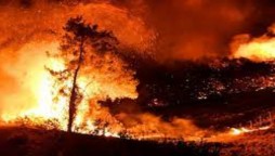Turkey wildfire leave four dead
