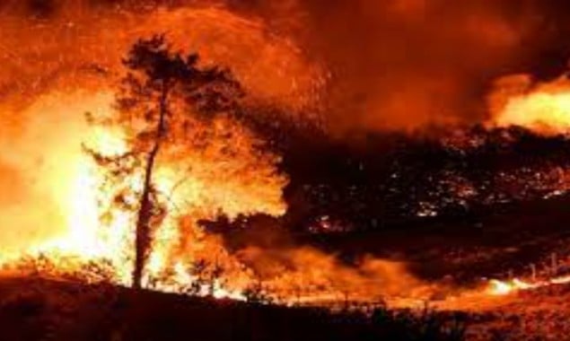 Turkey wildfire leave four dead