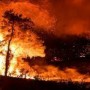 Turkey battles wildfires amid claims of sabotage 