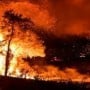 Turkey wildfire leave four dead