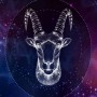 Capricorn Horoscope Today | Capricorn Daily Horoscope |  July 25, 2021 | BOL News