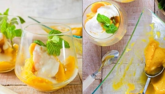 mango frozen dessert