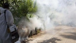 Fumigation Campaign To Be Launched In Karachi: Administrator