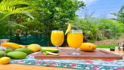 Extremely Delicious Homemade Mango Mojito and Easy to Make