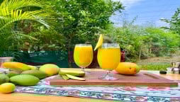Extremely Delicious Homemade Mango Mojito and Easy to Make