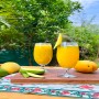 Extremely Delicious Homemade Mango Mojito and Easy to Make