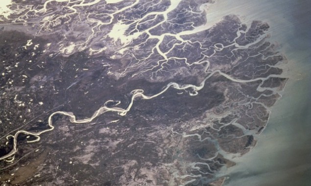 Experts fret about destruction of Indus Delta
