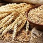Pakistan plans to import 500,000 tonnes of wheat to meet demand