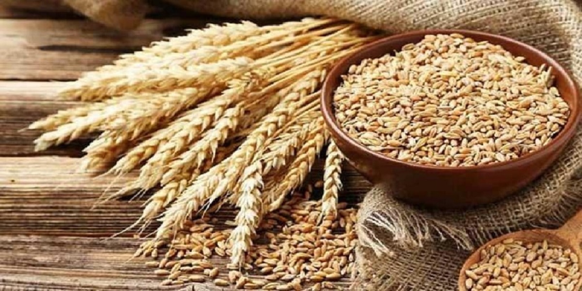 Pakistan plans to import 500,000 tonnes of wheat to meet demand