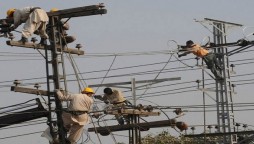 Power distribution companies urged to facilitate consumers
