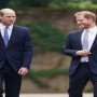 PHOTOS: Prince Harry and Prince William’s emotional reunion