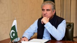 FM Qureshi Pays Tribute To Kashmiri People On Martyrs' Day