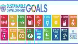Pakistan seeks support for middle-income countries to achieve SDGs