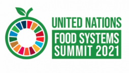 Pakistan among world’s highest rate of malnutrition countries: minister