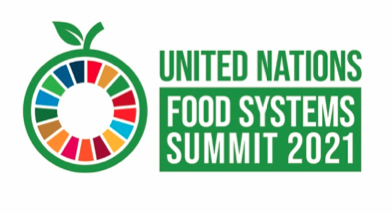 UN Food System