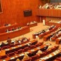 Senate passes ‘Torture and Custodial Death (Prevention and Punishment)’ Bill