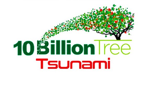 tree tsunami