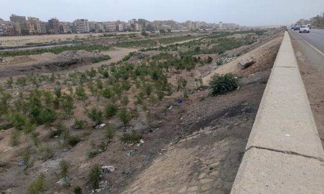 BOL EXCLUSIVE: Around 60,000 fruit, other saplings planted in Karachi under urban forestry