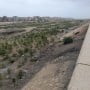 BOL EXCLUSIVE: Around 60,000 fruit, other saplings planted in Karachi under urban forestry