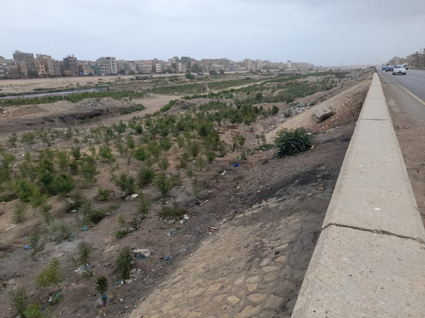 Urban Forestry