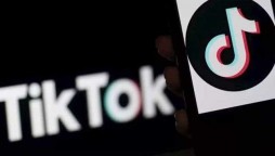 Will Tik Tok help its users to find a job?