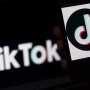 Will Tik Tok help its users to find a job?