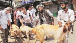 Occupied Kashmir: Decision To Ban Animal Sacrifice On Eid-ul-Adha Reversed
