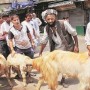 Occupied Kashmir: Decision To Ban Animal Sacrifice On Eid-ul-Adha Reversed
