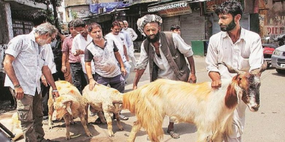 Occupied Kashmir: Decision To Ban Animal Sacrifice On Eid-ul-Adha Reversed
