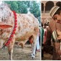 Eid ul Adha 2021 Prayer Timings In Karachi | Eid ul Adha Namaz Timings