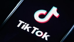 PTA bans TikTok