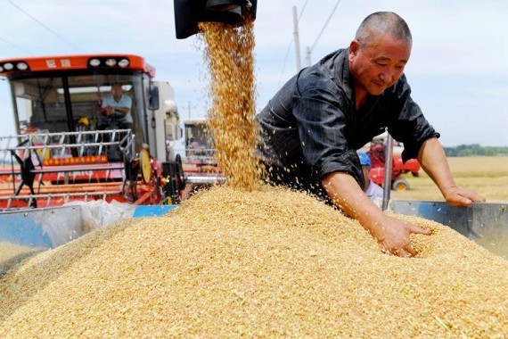 China expects bumper harvest in 2021 despite floods
