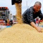 China expects bumper harvest in 2021 despite floods