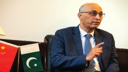 Pakistan-China relationship leads to regional, global stability: Ambassador Haque
