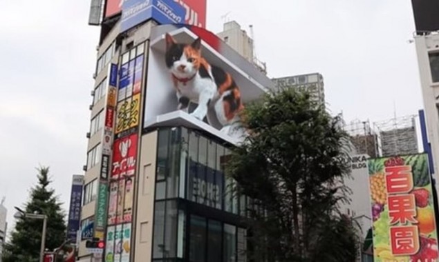 Massive 3D Cat on Tokyo’s Billboard, video went viral