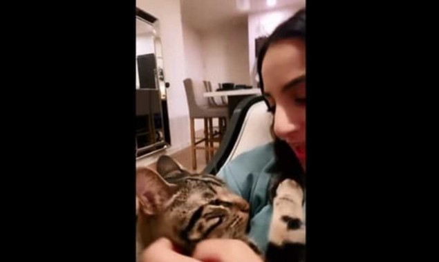 WATCH: Cat reacts to human singing ‘You Are My Sunshine’