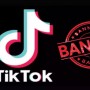 TikTok issues statement In Response To The Ban Imposed by SHC