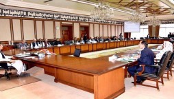 TLP ban Federal cabinet
