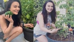 Preity Zinta garden