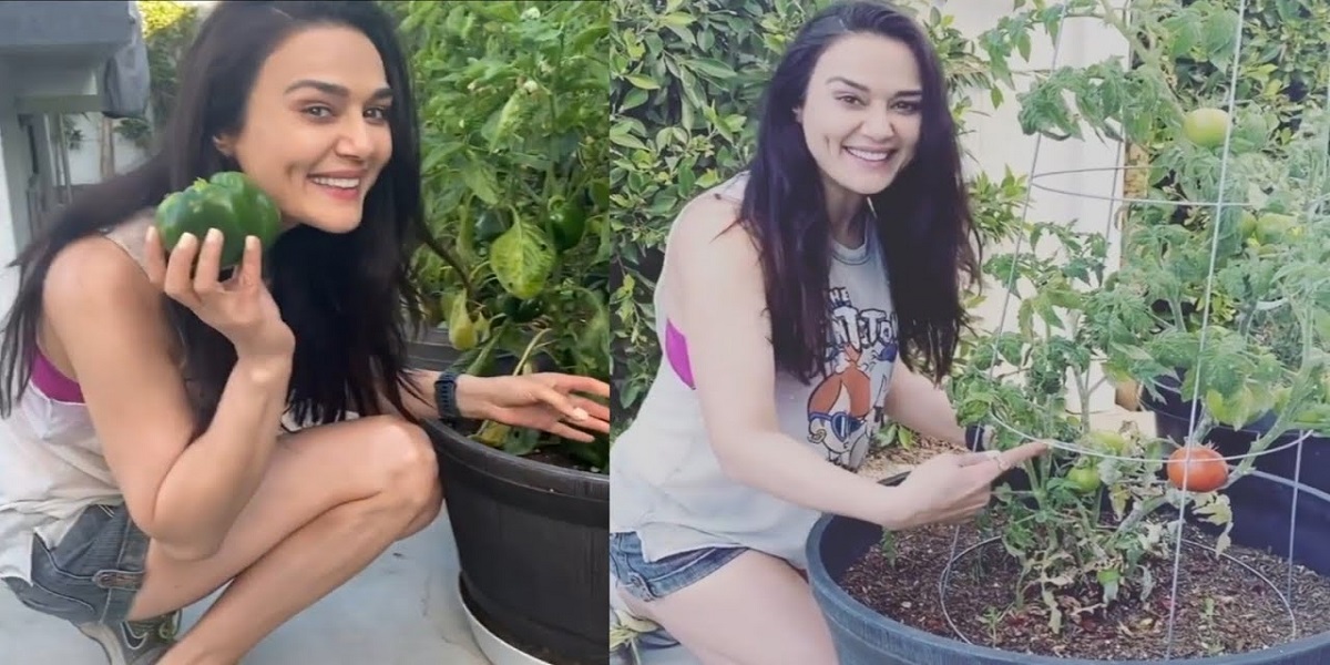Preity Zinta garden