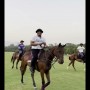 What has Shoaib Akhtar named his pet horse?