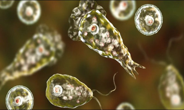 What is Naegleria and how you can protect yourself from the deadly bacteria